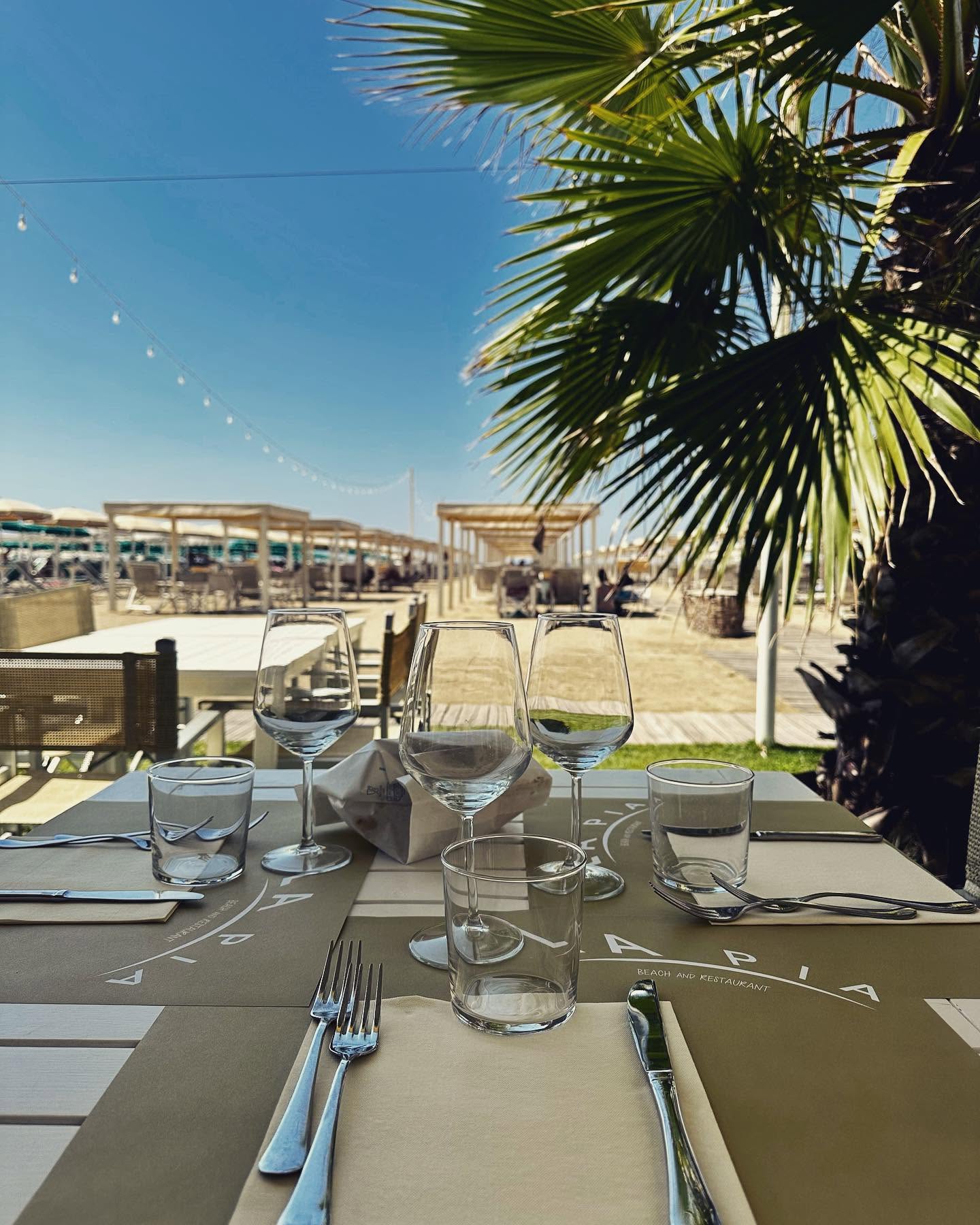 Tavolo apparecchiato di La Pia con vista sulla spiaggia di Viareggio, palma e cielo azzurro